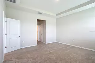 3508 Crescent Peak Wy, Plant City, FL 33565 - Photo 22