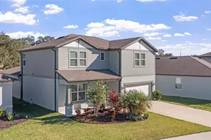 6248 Bradford Woods Dr, Zephyrhills, FL 33542 - Photo 60