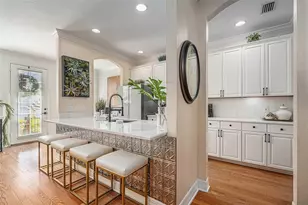 2904 Hansen Manor Ln, Tampa, FL 33611 - Photo 10