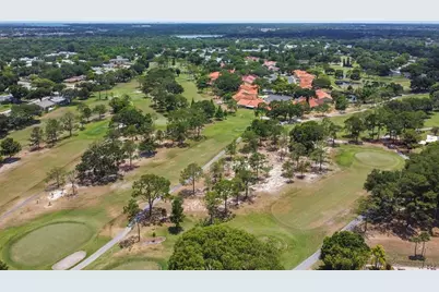 3116 Brunswick Circle, Palm Harbor, FL 34684 - Photo 48