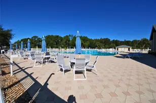 9933 Saunton Drive, San Antonio, FL 33576 - Photo 28