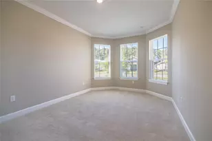 4798 Rosatti Rd, Wesley Chapel, FL 33543 - Photo 26