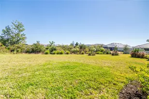 4798 Rosatti Rd, Wesley Chapel, FL 33543 - Photo 40