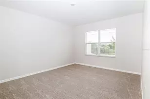 34029 Sorrel Mint Dr, Wesley Chapel, FL 33543 - Photo 16
