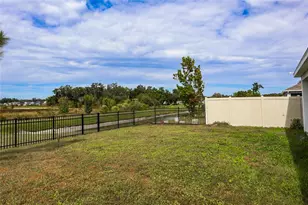 34029 Sorrel Mint Dr, Wesley Chapel, FL 33543 - Photo 22