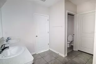 34029 Sorrel Mint Dr, Wesley Chapel, FL 33543 - Photo 18