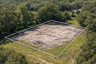6277 Tower Rd, Land O Lakes, FL 34638 - Photo 1