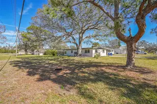 131 80th Ave NE, Saint Petersburg, FL 33702 - Photo 4