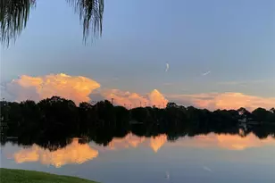 2648 Sabal Springs Dr, Clearwater, FL 33761 - Photo 32