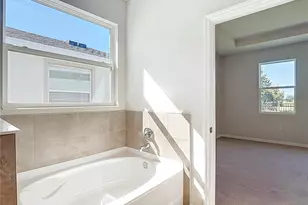 10471 Bridgegate Heights Loop, San Antonio, FL 33576 - Photo 16