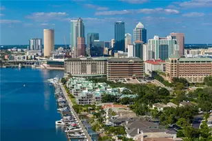 1039 Royal Pass Rd, Tampa, FL 33602 - Photo 86