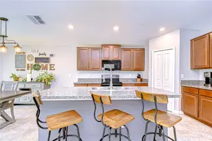 10115 Paradise Fish Dr, Riverview, FL 33578 - Photo 6