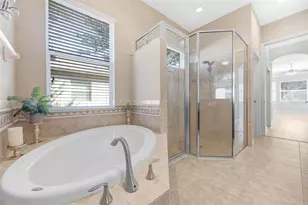 27318 Sora Blvd, Wesley Chapel, FL 33544 - Photo 10