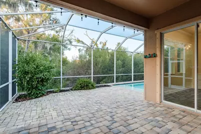 5116 Coastal Scene Drive, Apollo Beach, FL 33572 - Photo 30