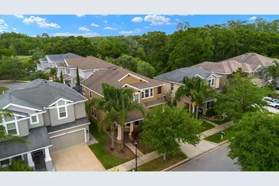 7029 Dowling Mill Circle, Tampa, FL 33625 - Photo 30