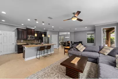 7029 Dowling Mill Circle, Tampa, FL 33625 - Photo 6