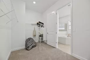 17415 Holly Wl Ave, Wimauma, FL 33598 - Photo 52