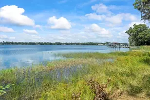 17924 Simms Rd, Odessa, FL 33556 - Photo 8