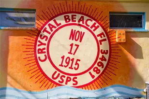 250 Sage Rd, Crystal Beach, FL 34681 - Photo 84