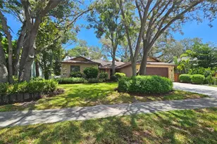 2401 Country Trails Dr, Safety Harbor, FL 34695 - Photo 72
