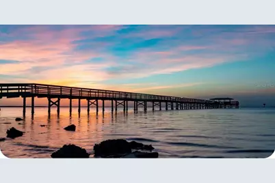 2401 Country Trails Drive, Safety Harbor, FL 34695 - Photo 96