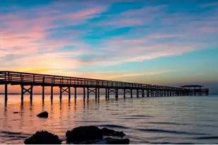 2401 Country Trails Dr, Safety Harbor, FL 34695 - Photo 96