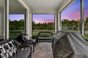 3999 Cadence Loop, Land O Lakes, FL 34638 - Photo 62