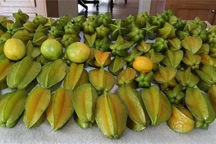 10342 Shady Dr, Hudson, FL 34669 - Photo 46