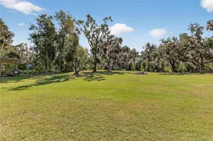 11110 Walter Hunter Rd, Lithia, FL 33547 - Photo 52
