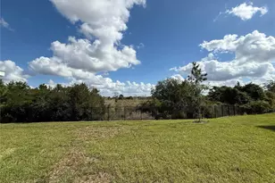 32514 Weathered Oak D Dr, Wesley Chapel, FL 33543 - Photo 32