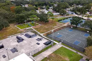 718 Northmoor Ave N, Saint Petersburg, FL 33702 - Photo 28