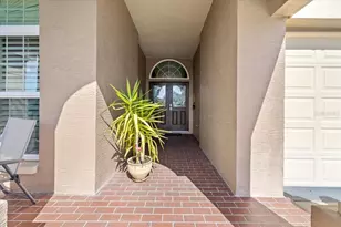 4379 Sawgrass Dr, Palm Harbor, FL 34685 - Photo 4