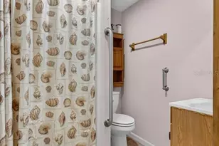 15222 Lost Lake Ln, Lithia, FL 33547 - Photo 36