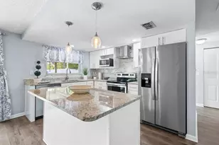 512 Red Mangrove Ln, Apollo Beach, FL 33572 - Photo 10