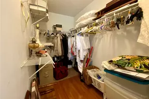 3681 Ridgemont Ct, Palm Harbor, FL 34684 - Photo 34