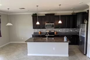 11120 Purple Martin Blvd, Riverview, FL 33579 - Photo 4