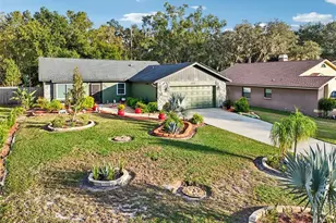 5016 Swallow Dr, Land O Lakes, FL 34639 - Photo 54