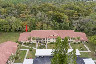 1801 E Lake Rd, Palm Harbor, FL 34685 - Photo 6