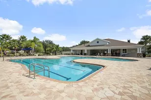 11403 Thames Fare Way, Lithia, FL 33547 - Photo 38