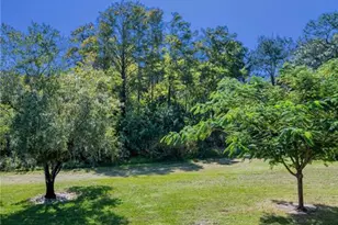 36750 US Hwy 19 N, Palm Harbor, FL 34684 - Photo 54
