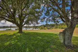 13914 Chalk Hill Pl, Riverview, FL 33579 - Photo 46