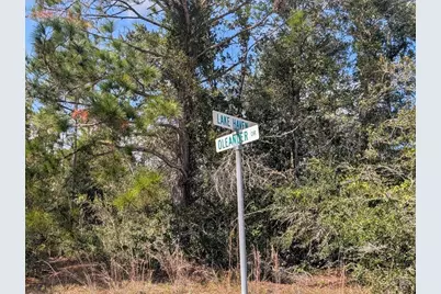 Oleander Drive, Indian Lake Estates, FL 33855 - Photo 1