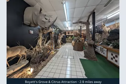 27360 Cortez Boulevard, Brooksville, FL 34602 - Photo 22