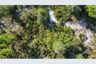 519 Allamanda Drive, Indian Lake Estates, FL 33855 - Photo 10
