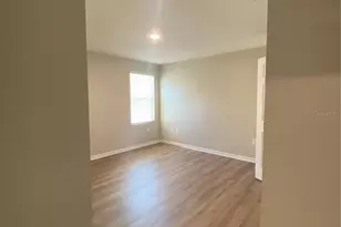 34152 Verbena St, Wesley Chapel, FL 33545 - Photo 26