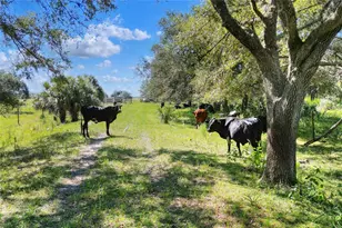 46891 Farabee Rd, Punta Gorda, FL 33982 - Photo 1