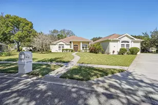 13750 Dowling Ln, Odessa, FL 33556 - Photo 1