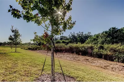 11633 Glenside Terrace, Palmetto, FL 34221 - Photo 50