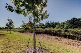 11633 Glenside Ter, Palmetto, FL 34221 - Photo 50