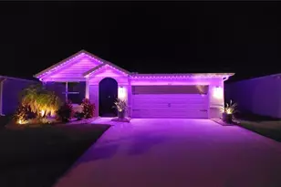 1523 Glen Grove Loop, Wesley Chapel, FL 33543 - Photo 60